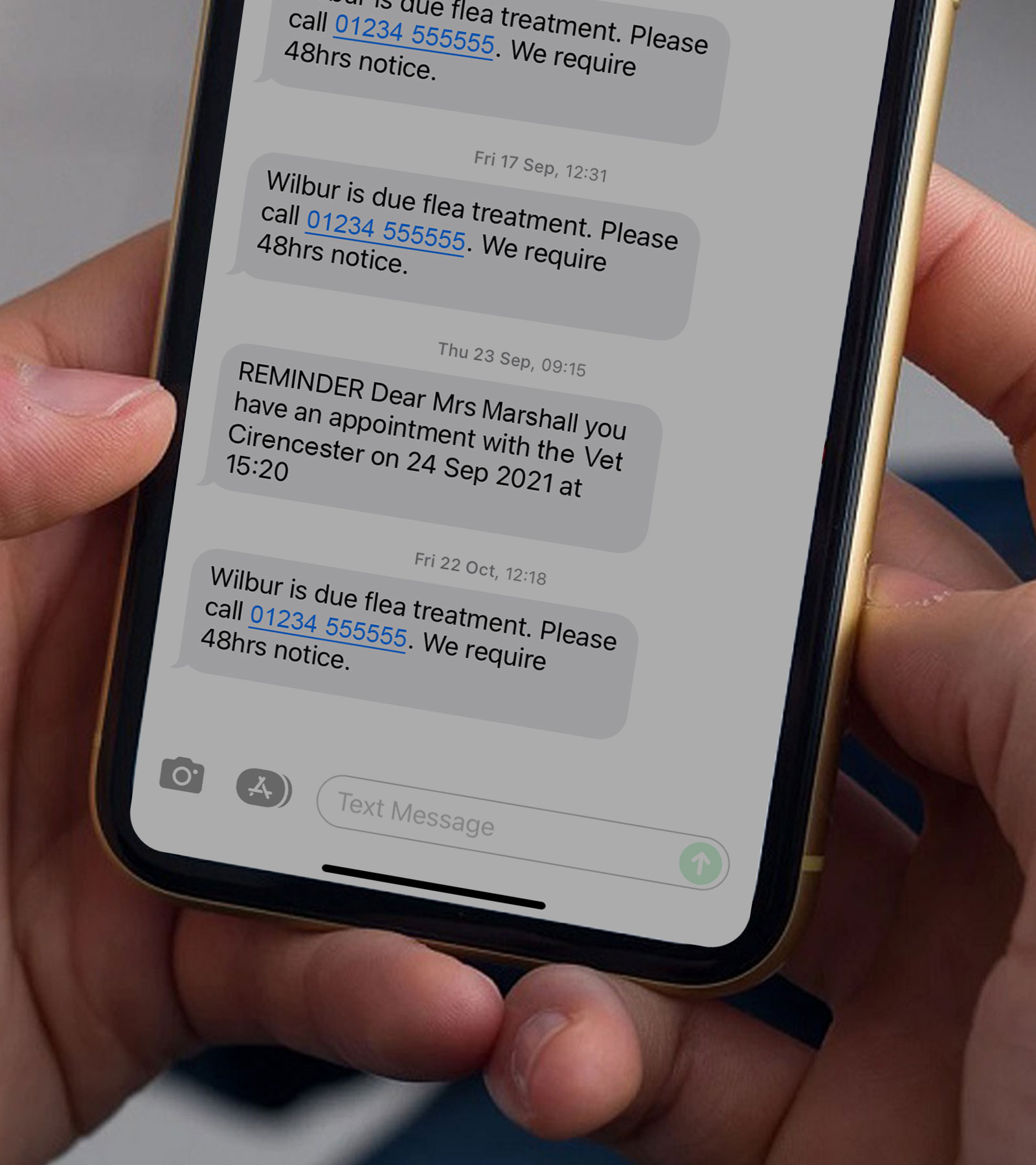 Automated reminder texts from the vet