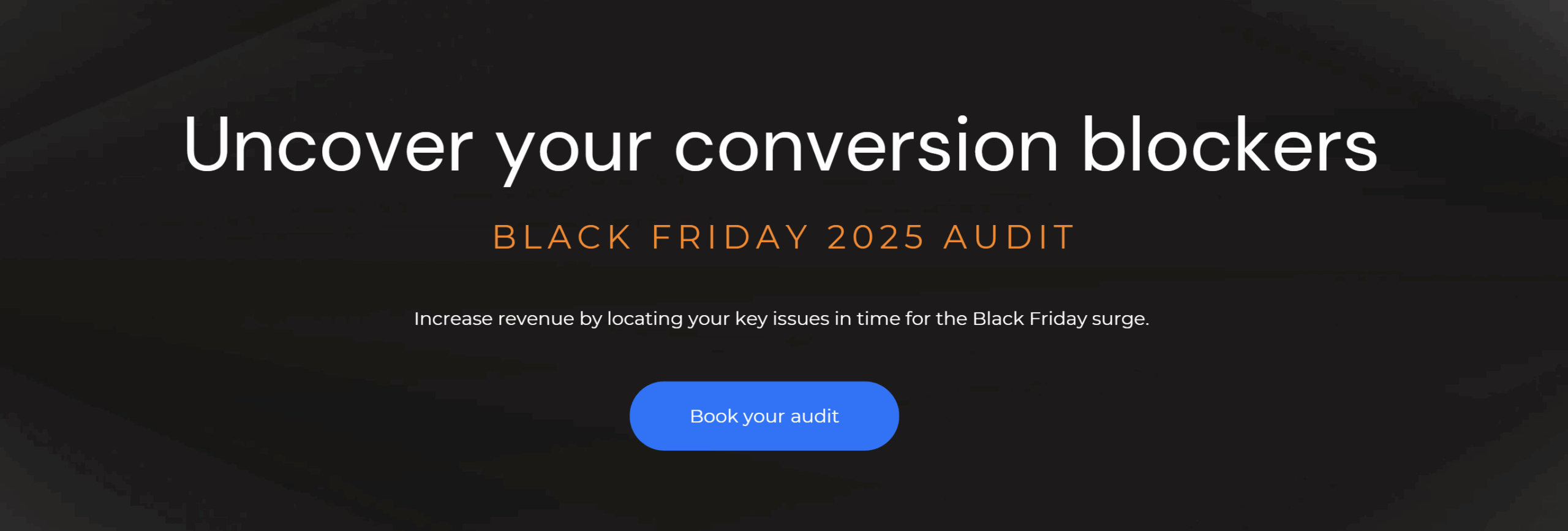 Book your Black Friday Audit Banner